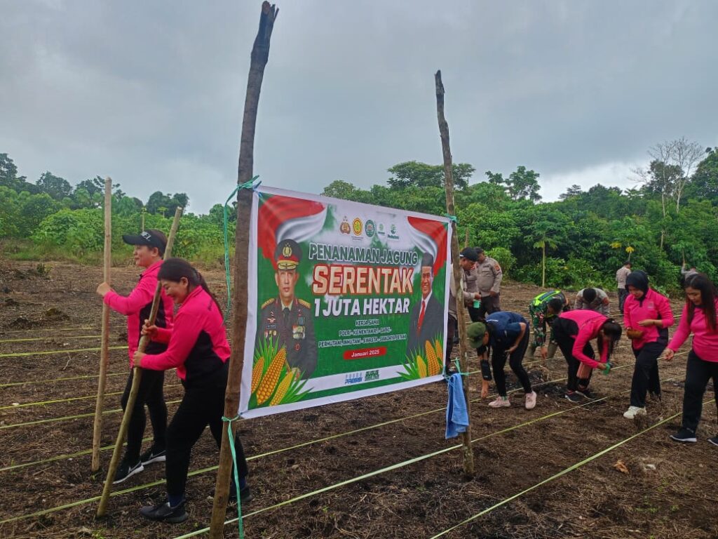 Pelopori Swasembada Pangan, Polsek Dan Bhayangkari Ranting Rainis 'Berkebun' Di Matipoga 123 1000077604
