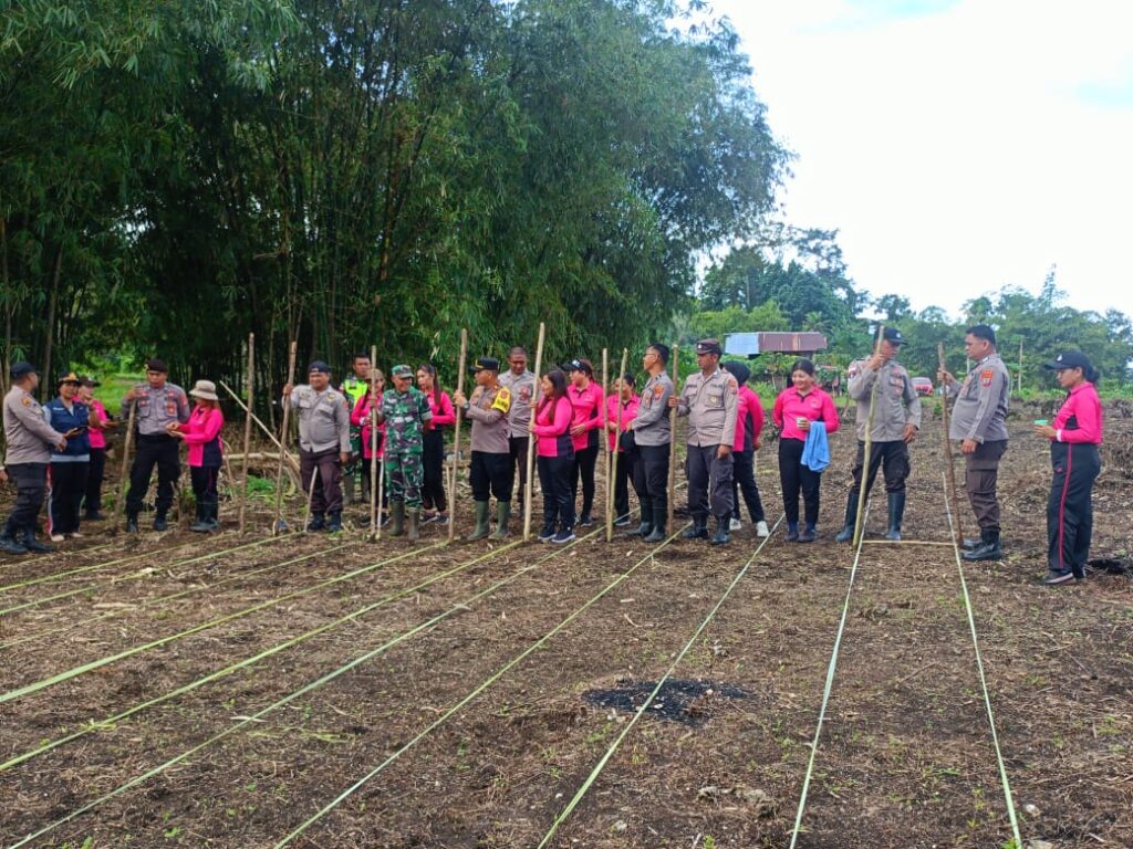Pelopori Swasembada Pangan, Polsek Dan Bhayangkari Ranting Rainis 'Berkebun' Di Matipoga 122 1000077605