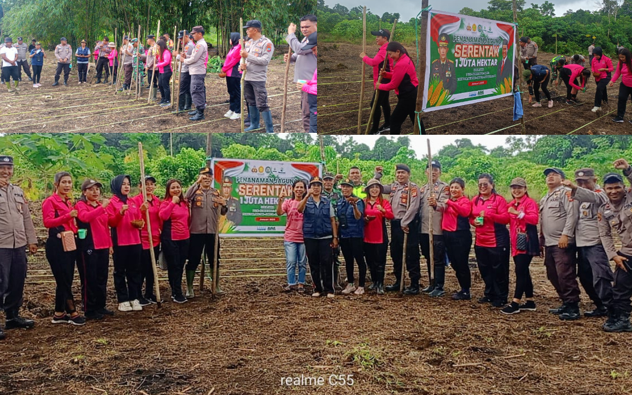 Pelopori Swasembada Pangan, Polsek Dan Bhayangkari Ranting Rainis 'Berkebun' Di Matipoga 120 1000077612