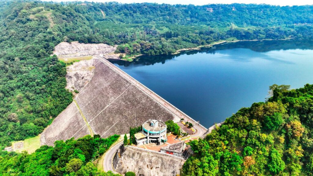 Peningkatan Pendapatan Dorong PLN Masuk Fortune Global 500 121 1000322412