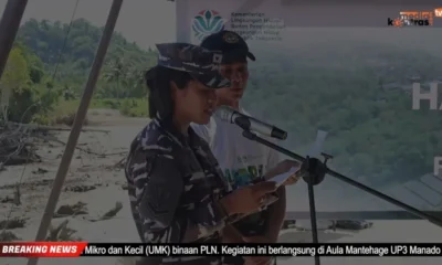 pln up3 tolitoli kolaborasi tanam 5 000 pohon mangrove
