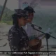 pln up3 tolitoli kolaborasi tanam 5 000 pohon mangrove