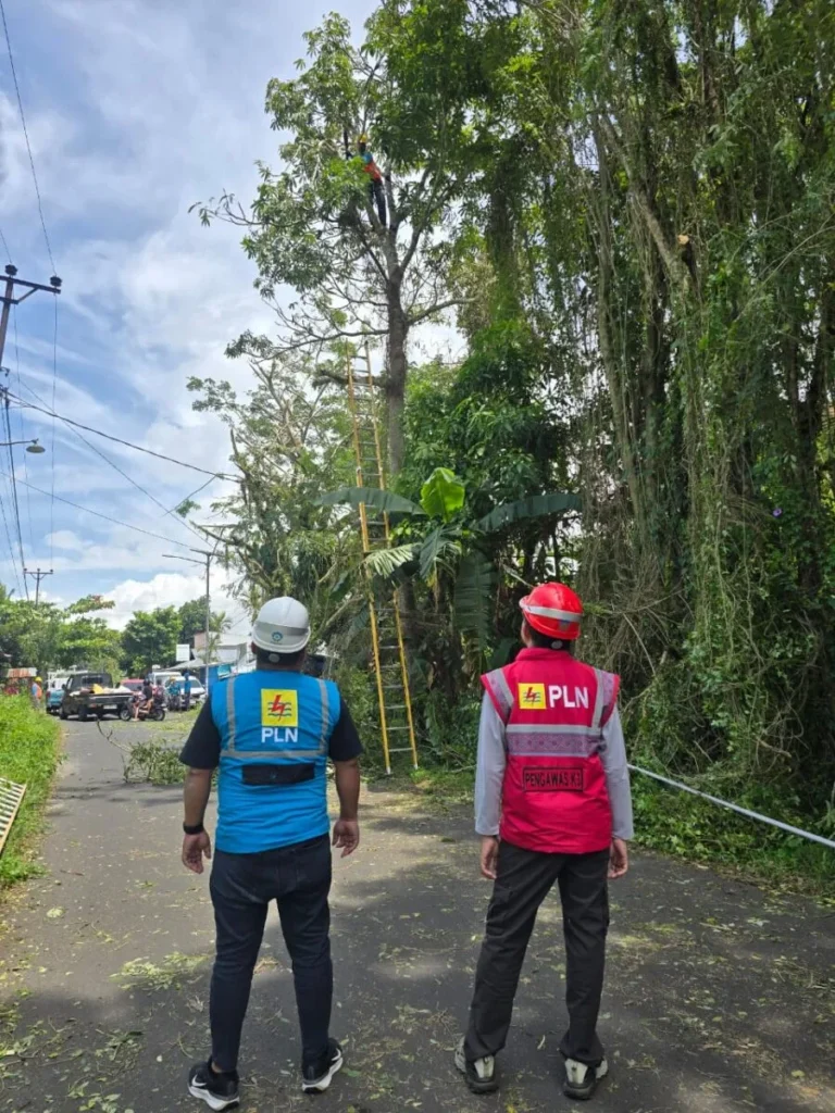 PLN ULP Tondano Proaktif Pemangkasan Pohon untuk Jaga Keandalan Listrik, Dipimpin Langsung Frans "Ucok" Napitupulu 121 1000439865