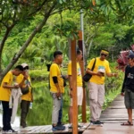 Media Gathering LPS 11