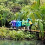 Media Gathering LPS 13