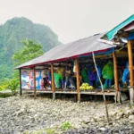 Media Gathering LPS 15