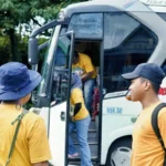 Media Gathering LPS 16