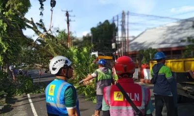 PLN pohon tumbang di jalan siswa