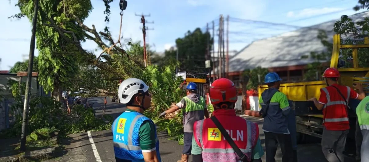 PLN pohon tumbang di jalan siswa