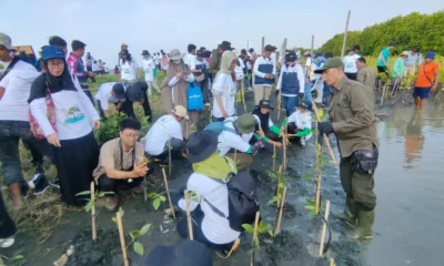 Tanam Mangrove Pantai Tirang Semarang 1