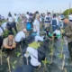 Tanam Mangrove Pantai Tirang Semarang 1