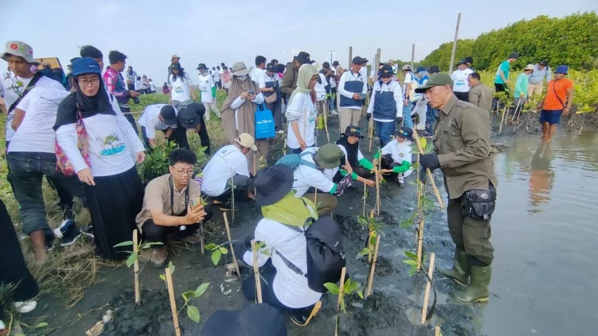 Tanam Mangrove Pantai Tirang Semarang 1