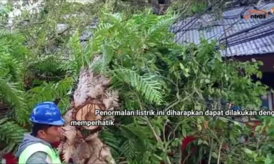 penormalan listrik pasca angin kencang