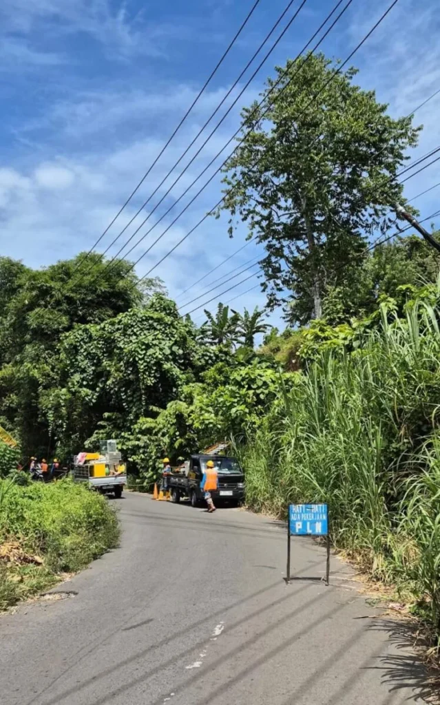 PLN UP3 Manado Gelar Mapalus Pemangkasan,di Pimpin Langsung Manager Revi Aldrian 133 PLN UP3 Manado Gelar Mapalus Pemangkasan 1