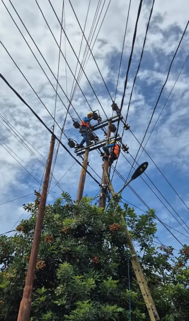 PLN UP3 Manado Gelar Mapalus Pemangkasan,di Pimpin Langsung Manager Revi Aldrian 134 PLN UP3 Manado Gelar Mapalus Pemangkasan 2