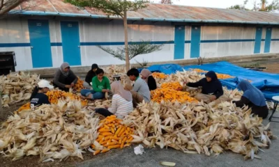 WhatsApp Image 2025 10 04 at 7.52.25 AM