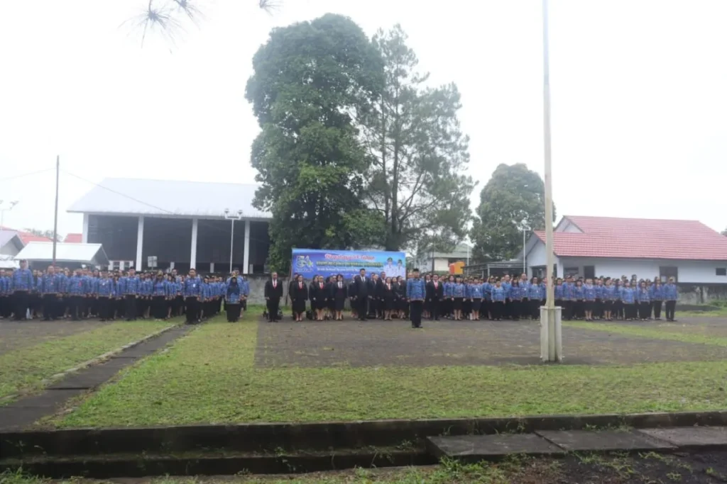 d50c3ff8 4797 47b1 afb8 8bde00d5c602