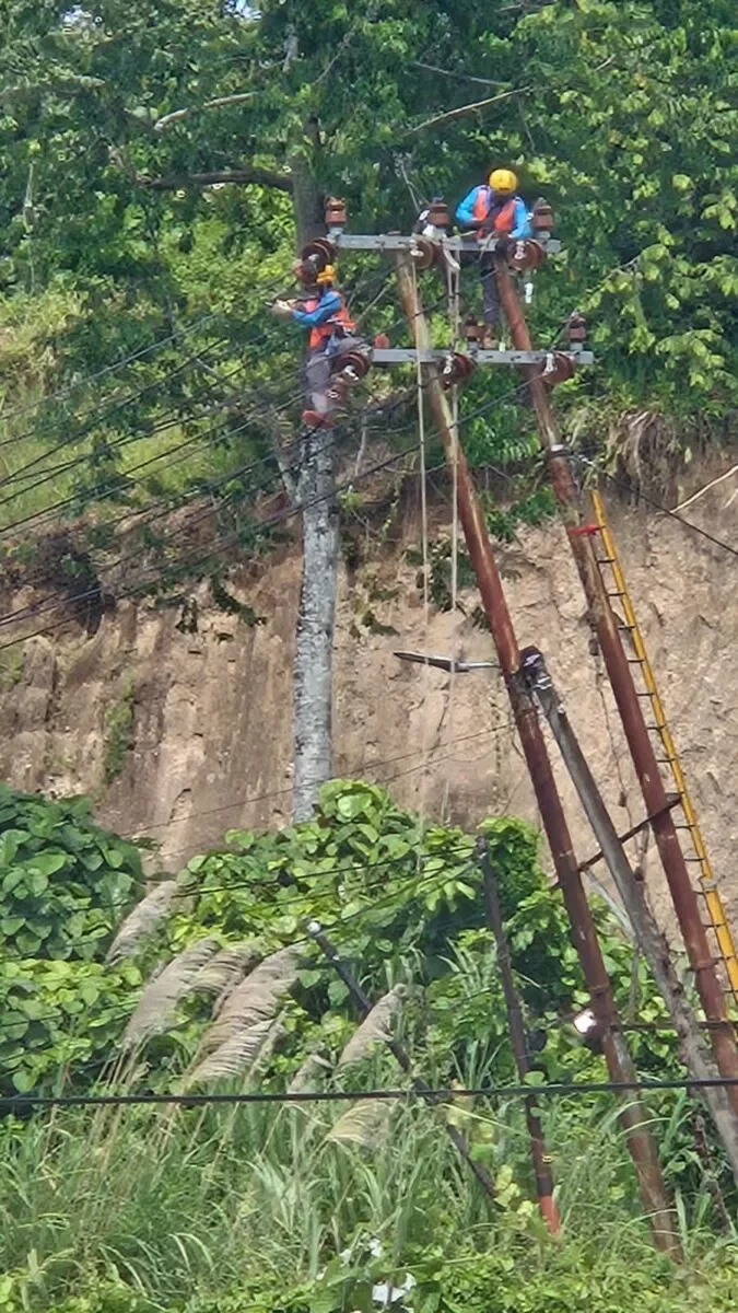 fbb24473 c264 429f 9c0d 7d171b7f1cf3