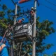ilustrasi petugas pln secara rutin melakukan pemeliharaan infrastruktur untuk menjaga keandalan pasokan listrik bagi masyaraka 1759207663899 169