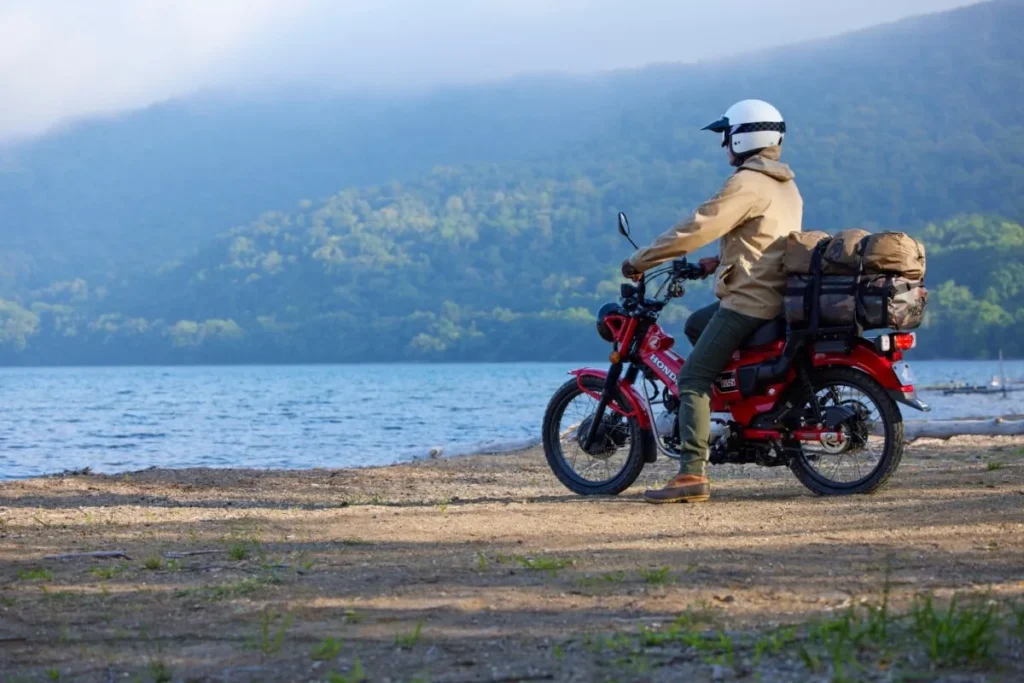 1f254f83 58ed 49a7 9af7 174c7f5c2d15