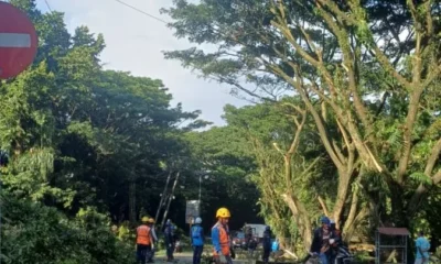 38a7f6bc 7d79 4853 8377 9226c27373d3