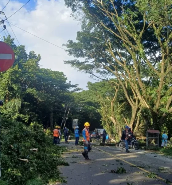 38a7f6bc 7d79 4853 8377 9226c27373d3