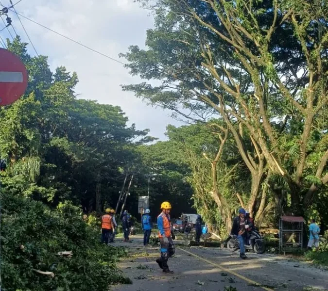 38a7f6bc 7d79 4853 8377 9226c27373d3