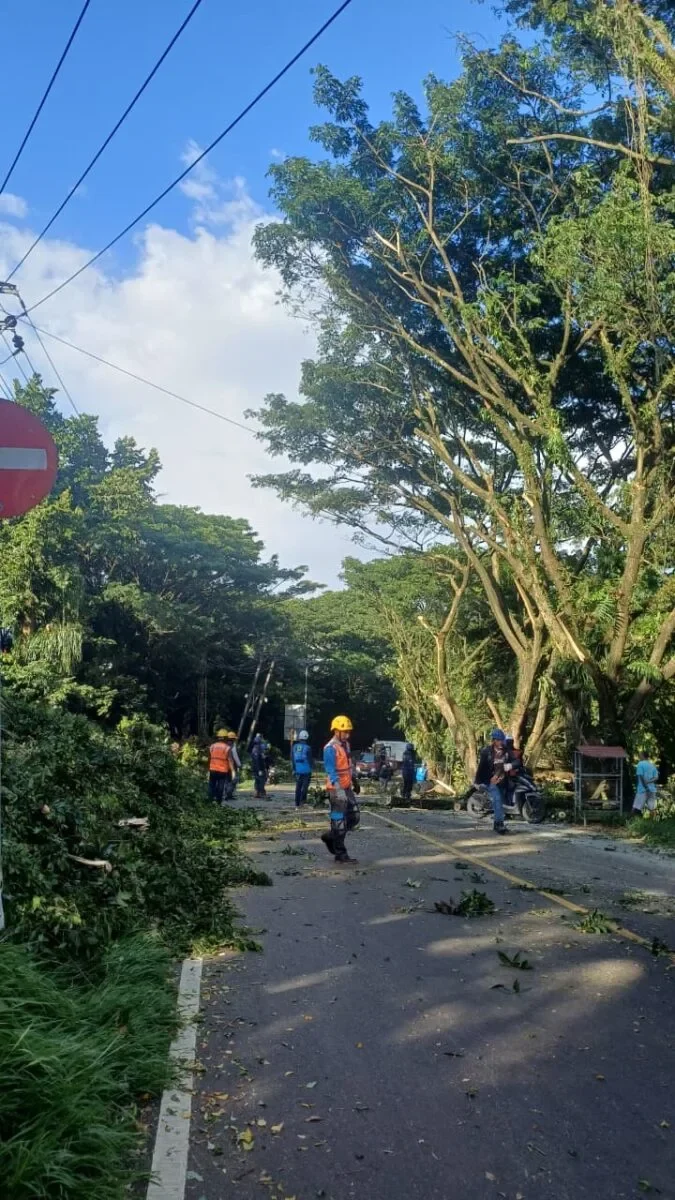 38a7f6bc 7d79 4853 8377 9226c27373d3