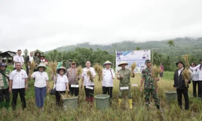 45c05dad 5d92 4430 8d91 ca0219455b3e