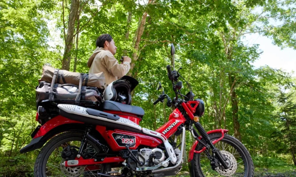 9501149e 2cb3 43f8 9ce8 56d36fdf5b2d