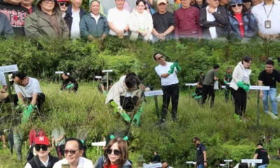 InCollage 20260120 111557039