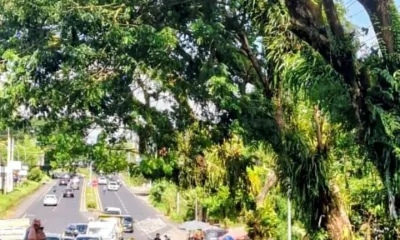 ac9aa3e1 d795 4f98 8cd4 62e2ee988f93