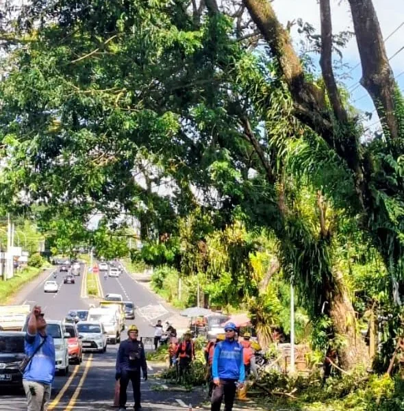 ac9aa3e1 d795 4f98 8cd4 62e2ee988f93