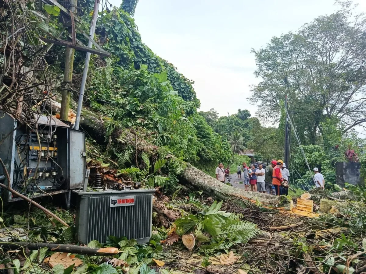 8088b4c0 634e 4f1e 9aa4 8cc092de3bed