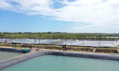 d2f10f03 4479 4015 9998 b3f091779188