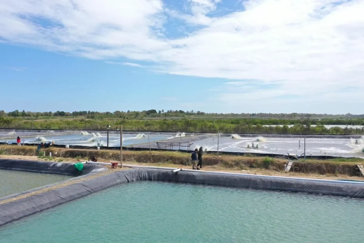 d2f10f03 4479 4015 9998 b3f091779188