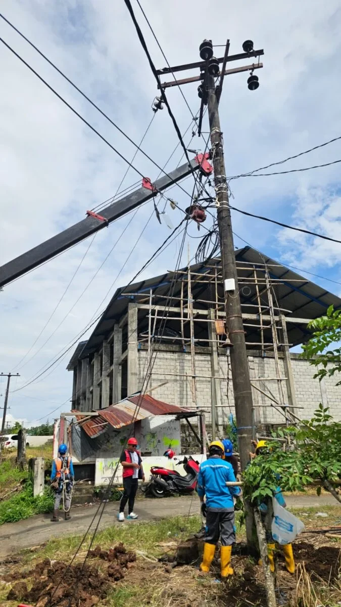 WhatsApp Image 2026 03 20 at 11.29.27