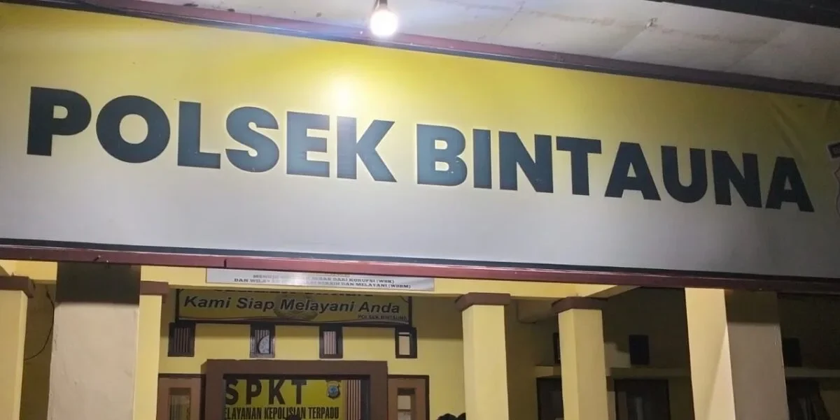 Polsek Bintauna