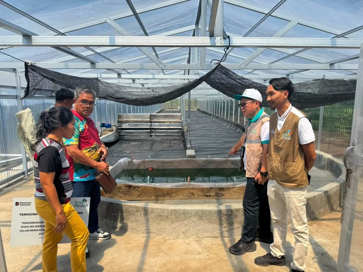 PLN UP3 Manado Perkuat Ketahanan Pangan Lokal melalui Program Pengembangan Budidaya dan Pengolahan Spirulina 161 53b8976a f60e 4057 a8da 5c1f4b2729b0