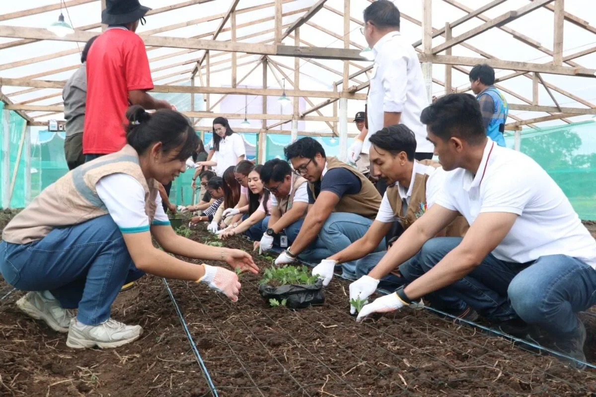 Dukung Kemandirian Petani Bunga Krisan, PLN UID Suluttenggo Resmikan Program Electrifying Agriculture di Tomohon 161 de7afc6f c15e 42a4 b5ac b2fe4e517733