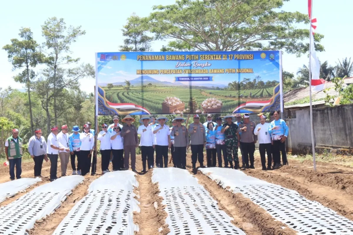 Dukung Swasembada Nasional, Wali Kota Caroll Senduk,Wagub dan Wakapolda Sulut Tanam Bawah Putih di Tomohon 166 68cc579b f144 4f96 9404 91d32a19dbcf