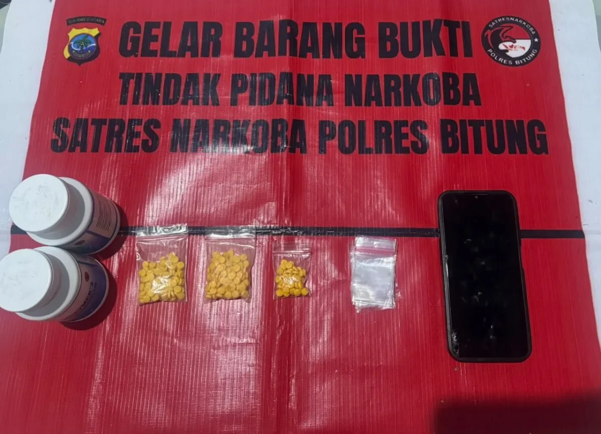 IMG 20261008 WA0064