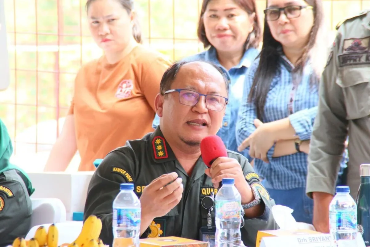 Kualitas Genetik dan Biosekuriti Jadi Kunci Pemulihan Peternakan Babi Sulut Pascawabah ASF 164 IMG 20261010 WA0096